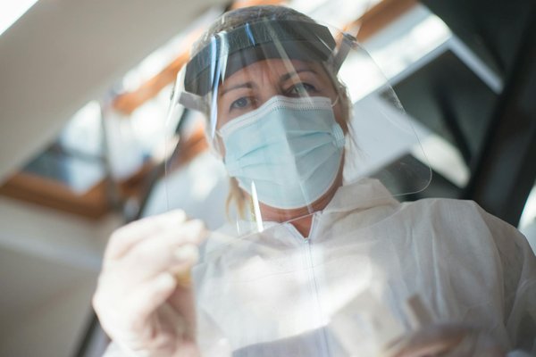 Assurance pour animaux seniors : Défis et remèdes innovants